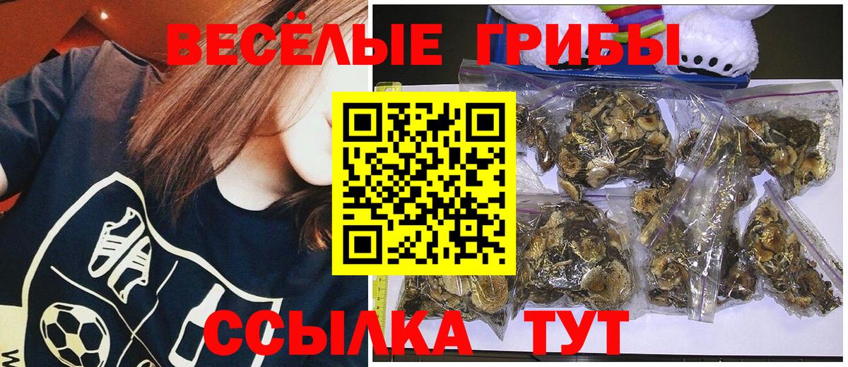 Лянтор  Псилоцибиновые грибы мицелий  дарнет шоп  Вход с VPN  Галлюциногенные грибы MAGIC MUSHROOMS 